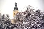 Petřvald
